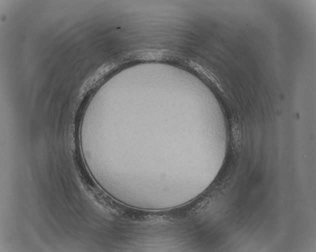 X0000079580682200612221431