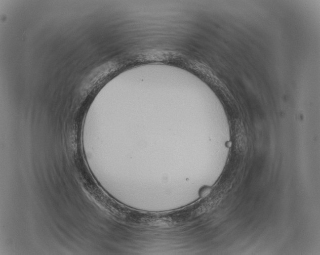 X0000079580683200612221431