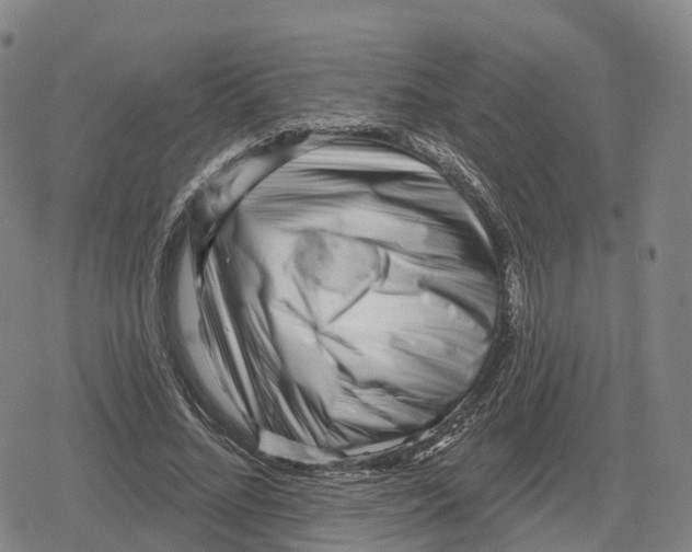 X0000079580684200612221431