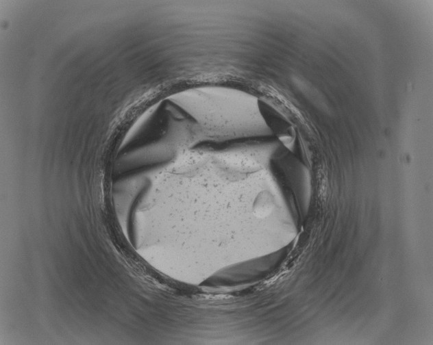 X0000079580685200612221431