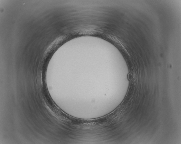 X0000079580686200612221431