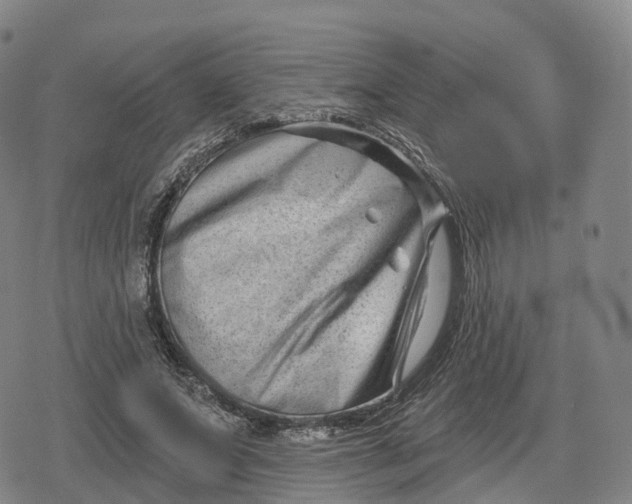 X0000079580687200612221431