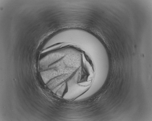 X0000079580688200612221431