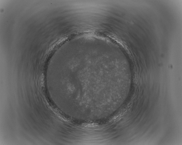 X0000079580689200612221431