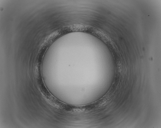 X0000079580690200612221431