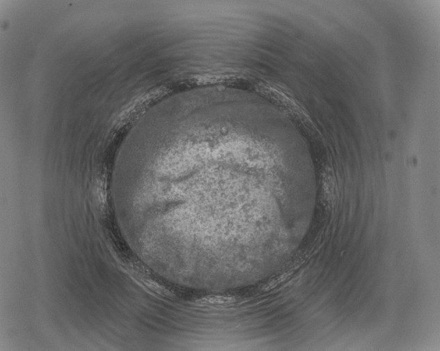 X0000079580691200612221431