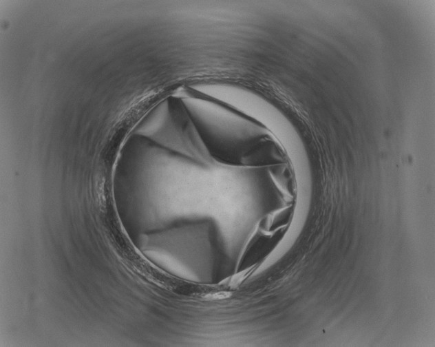 X0000079580692200612221431