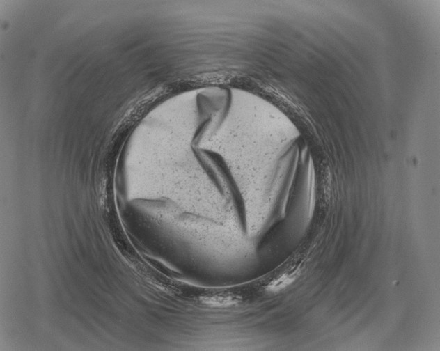 X0000079580693200612221431