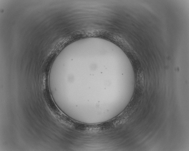 X0000079580694200612221431