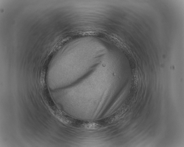 X0000079580695200612221431