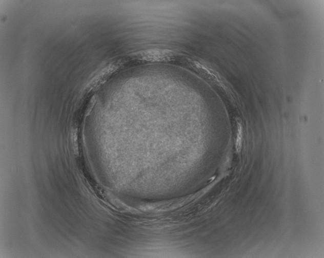 X0000079580696200612221431