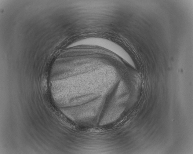 X0000079580697200612221431