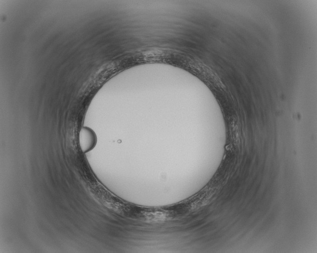 X0000079580698200612221431