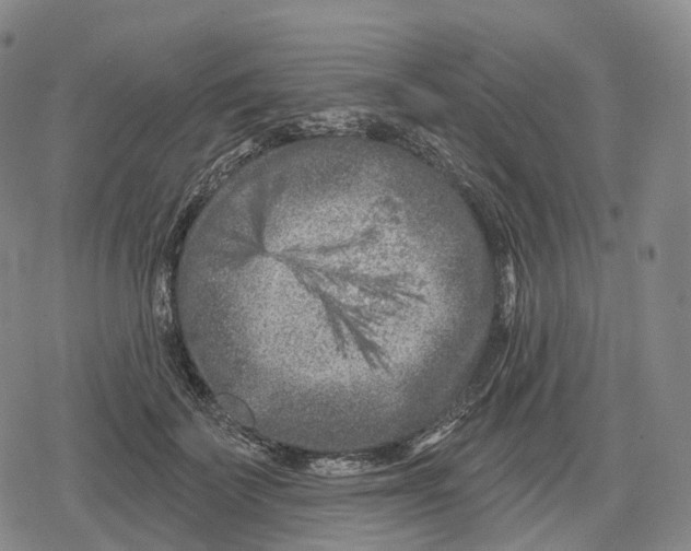 X0000079580699200612221431