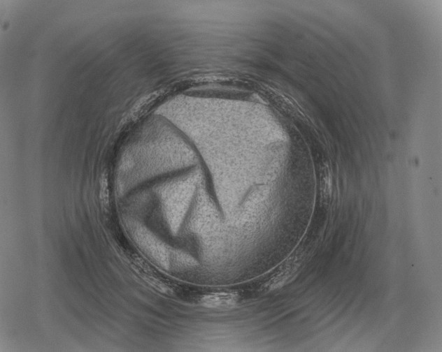 X0000079580700200612221431