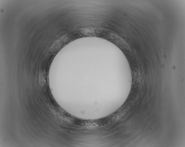 X0000079580702200612221431