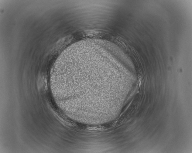 X0000079580703200612221431