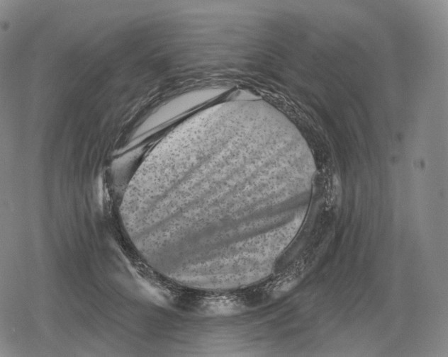 X0000079580704200612221431