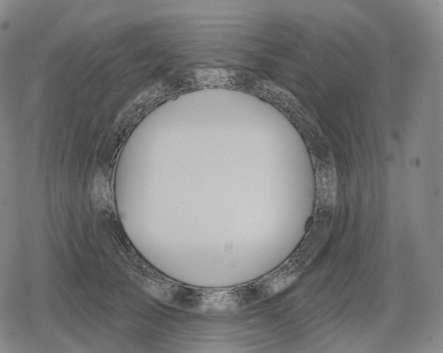 X0000079580705200612221431