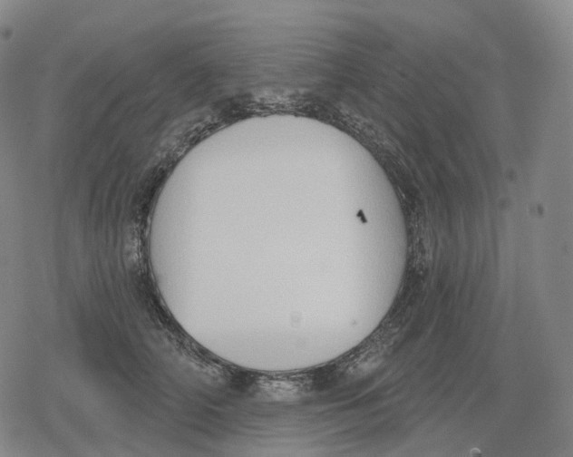 X0000079580706200612221431