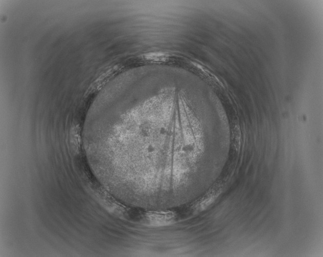 X0000079580707200612221431