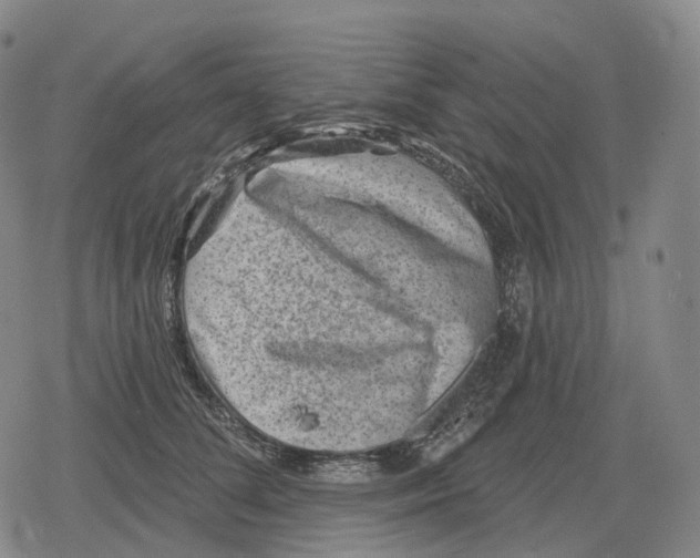 X0000079580708200612221431