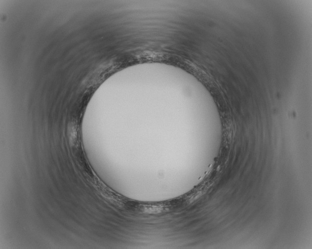 X0000079580709200612221431