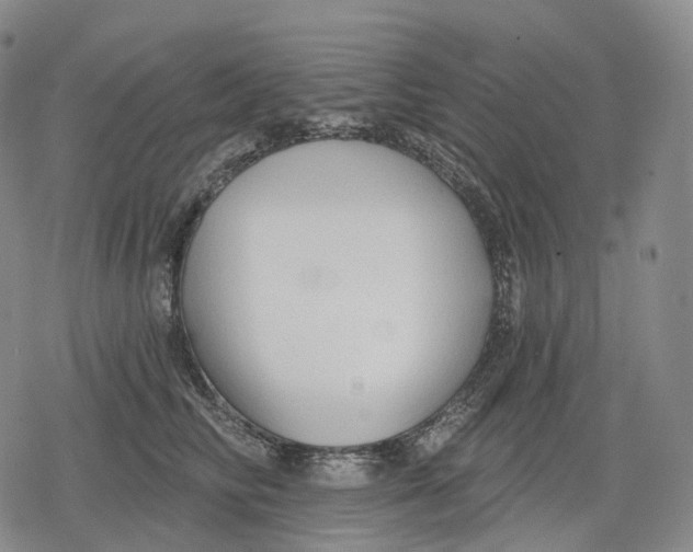 X0000079580710200612221431