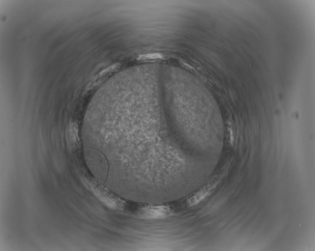 X0000079580711200612221431