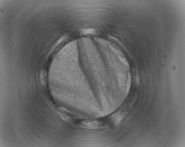 X0000079580712200612221431