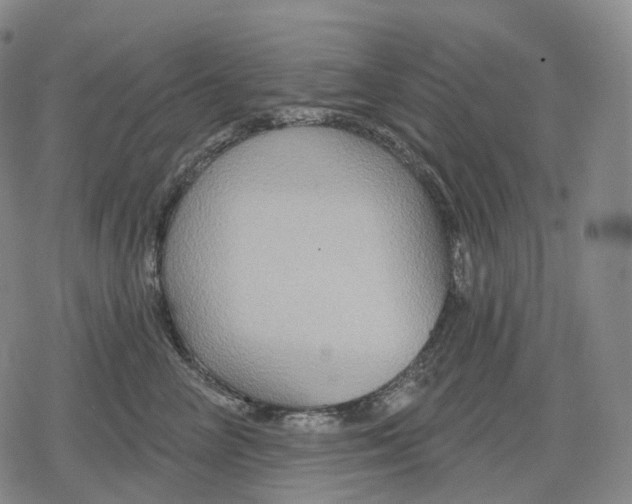 X0000079580714200612221430