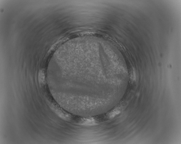 X0000079580715200612221430