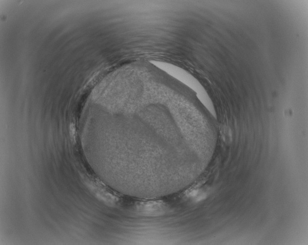 X0000079580716200612221430