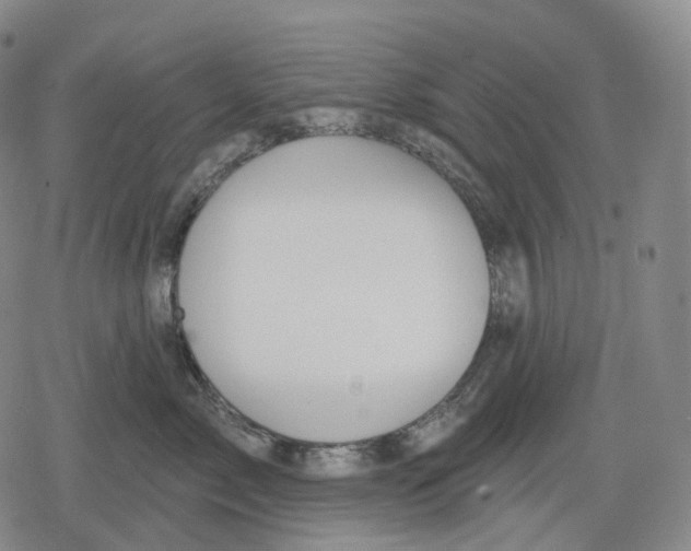 X0000079580717200612221430