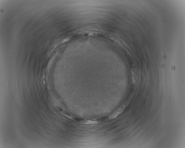 X0000079580718200612221430