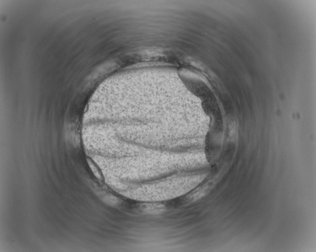 X0000079580719200612221430