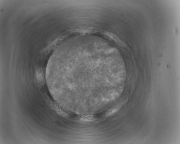 X0000079580720200612221430