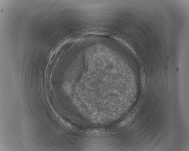 X0000079580721200612221430