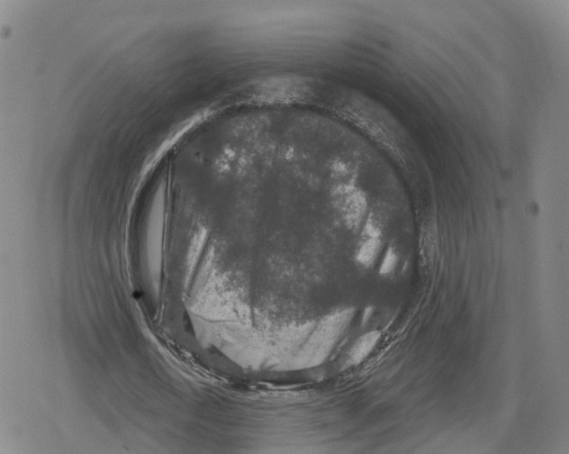 X0000079580722200612221430