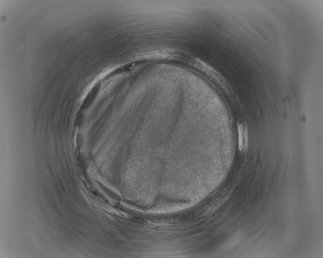 X0000079580723200612221430