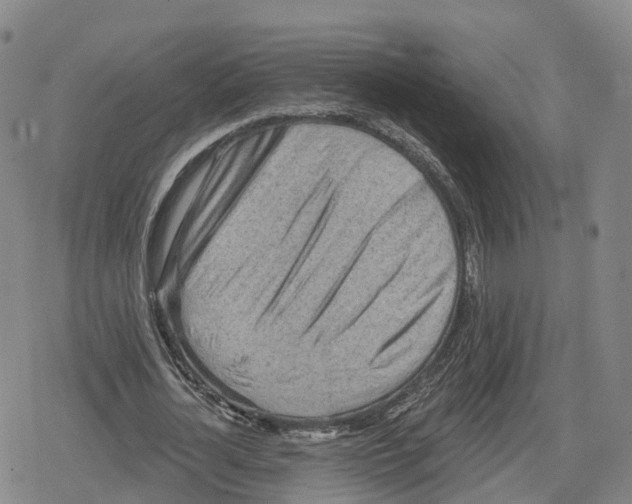 X0000079580724200612221430