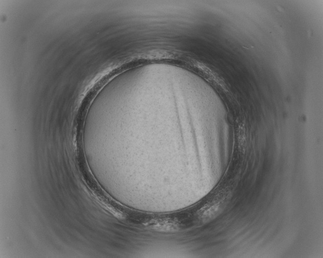 X0000079580727200612221430