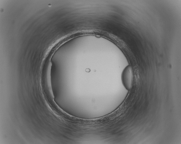 X0000079580728200612221430