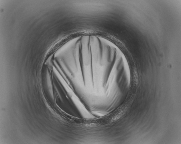 X0000079580730200612221430