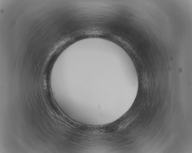 X0000079580731200612221430