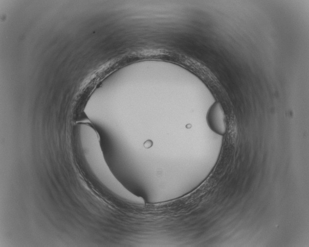 X0000079580732200612221430