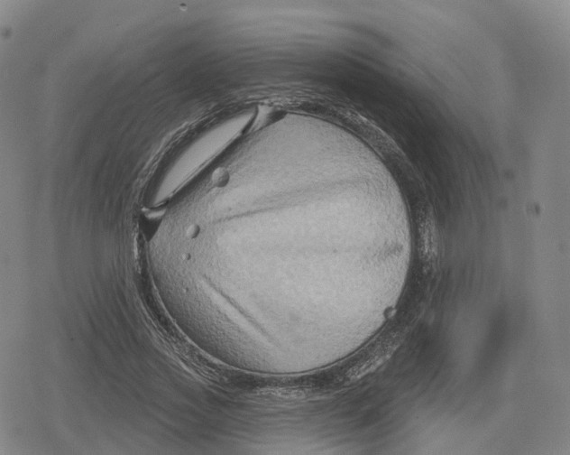 X0000079580733200612221430