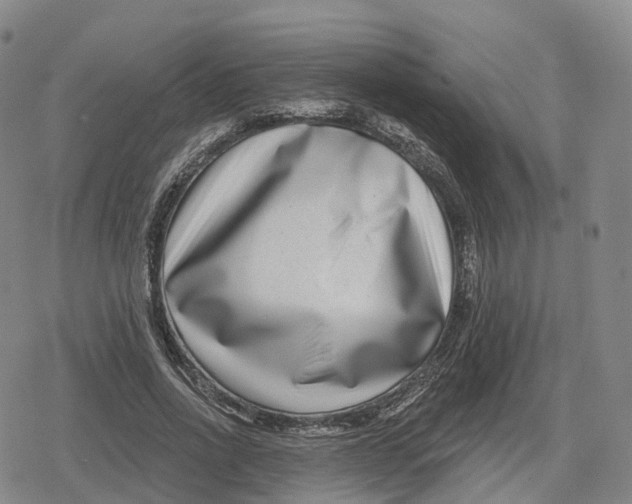 X0000079580734200612221430