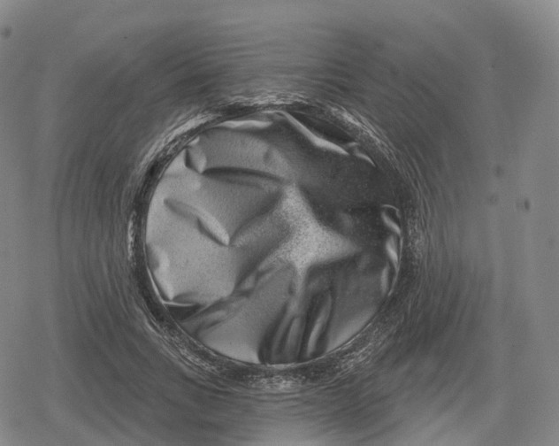 X0000079580735200612221430