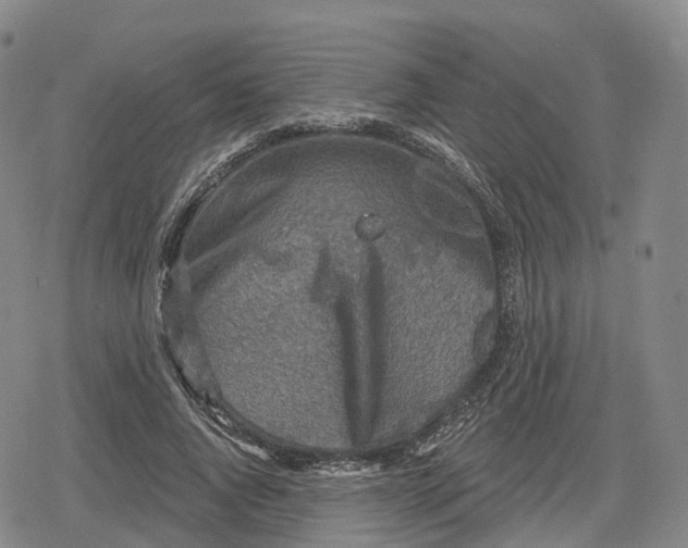 X0000079580736200612221430